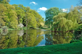 Ивам что-то хорошее снится...