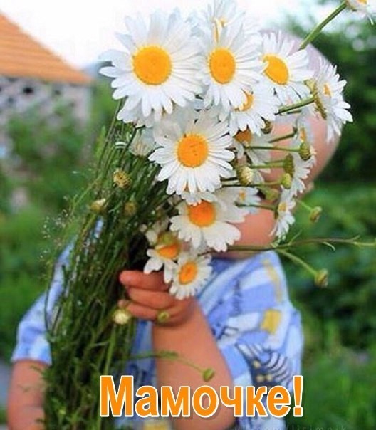 Посвящается маме