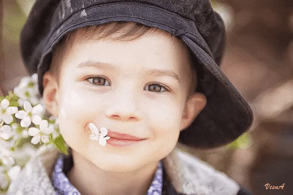 Шалун мальчишка, весельчак...