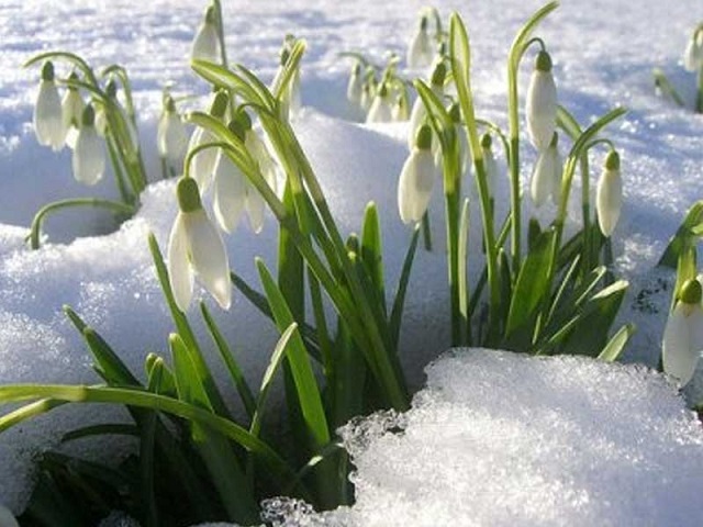 А мир уже не будет прежним