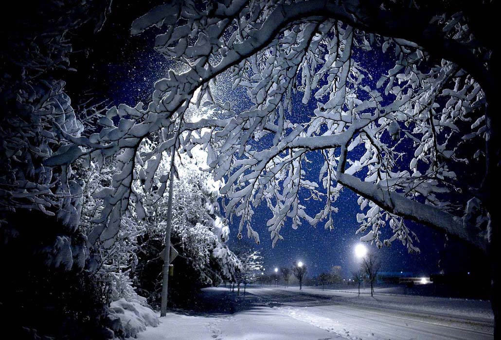 Такая ночь...