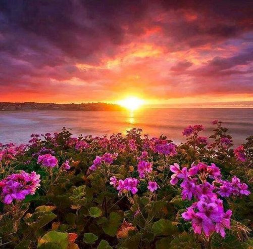 34 Мне нравится бывать в своём саду