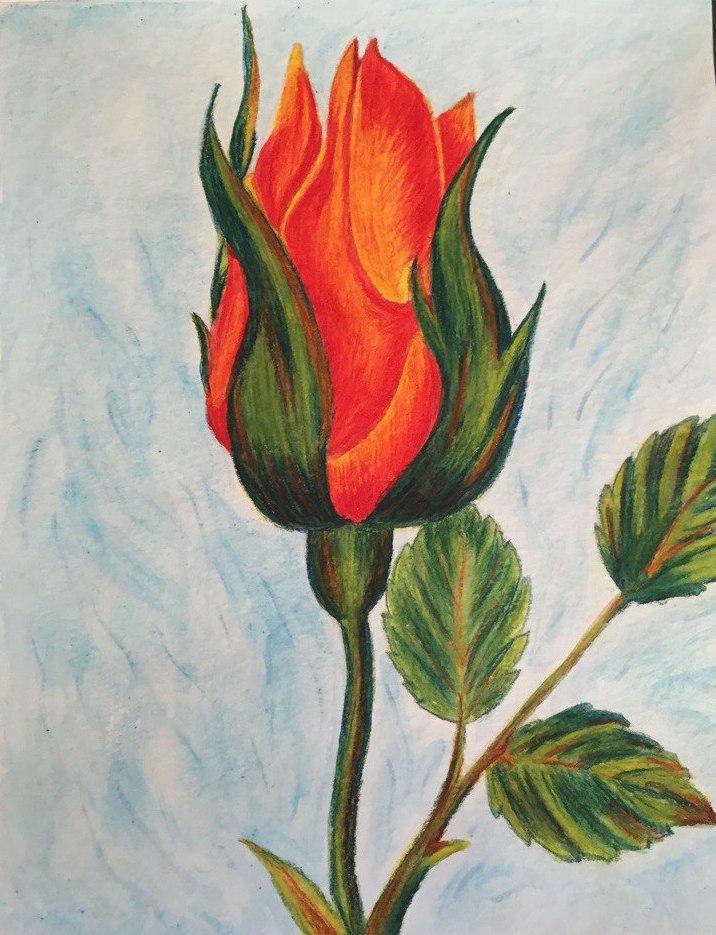 Черной кошкой по пространствам