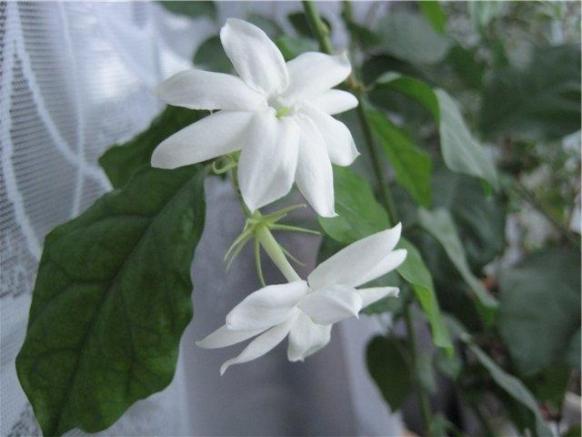 Уставший день готов ко сну