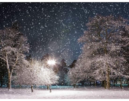 Я наблюдаю, как за окошком