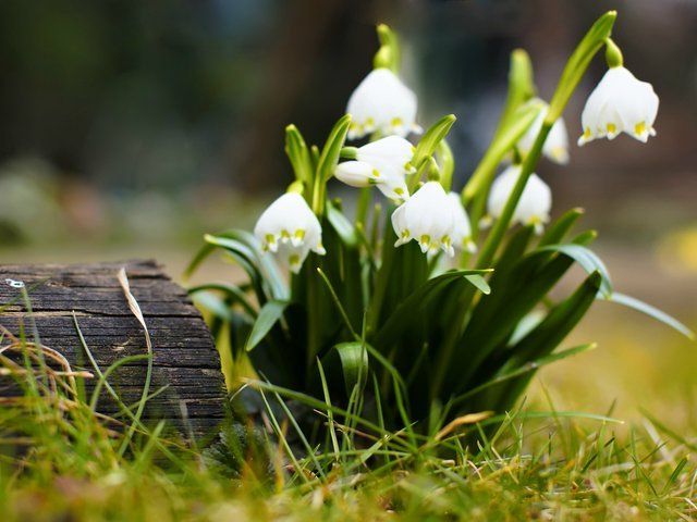 Время нам ещё дается...