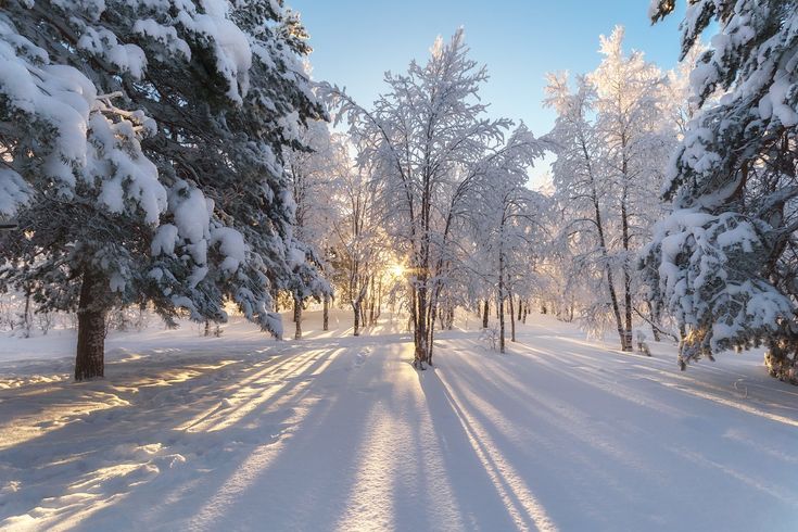 Февраль