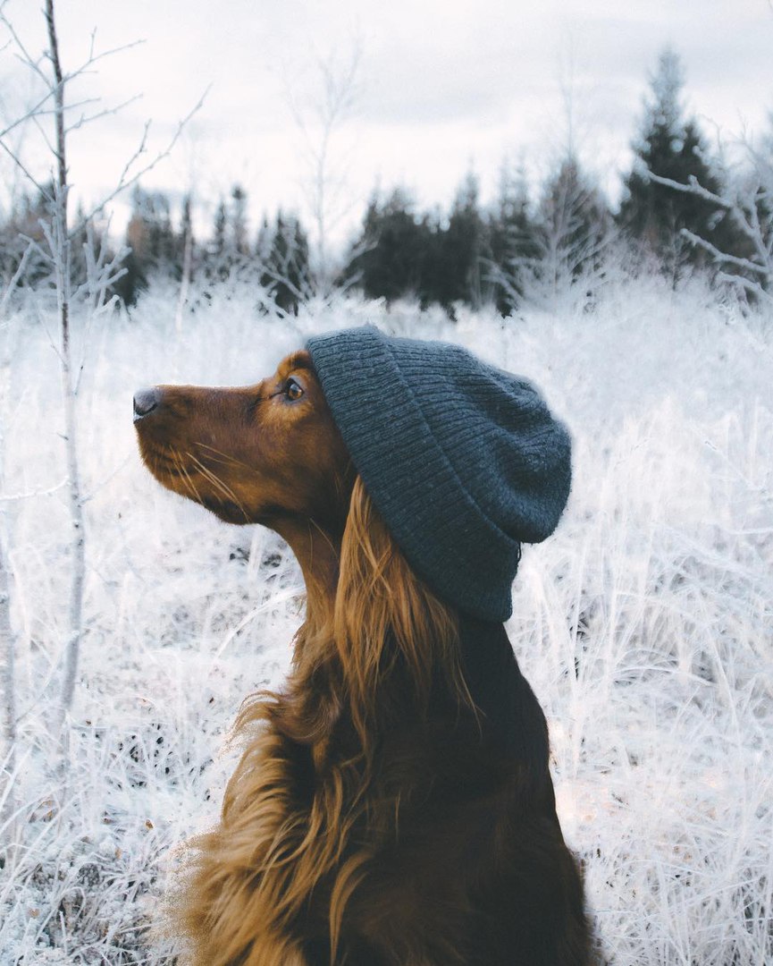 Братья и сестры мои...