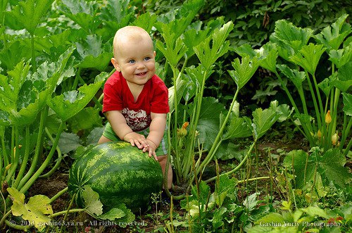 Говорят дети