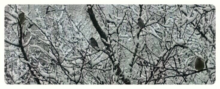 Ожидание весны