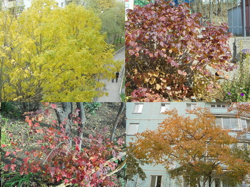 Любимое время