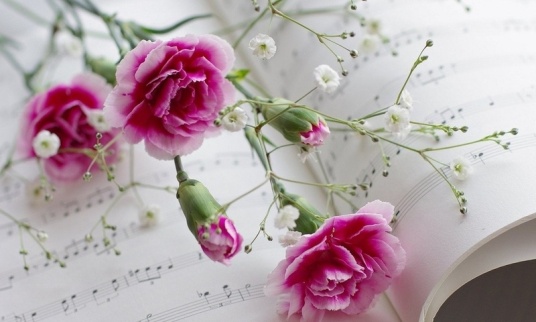 Всегда цветы дарил