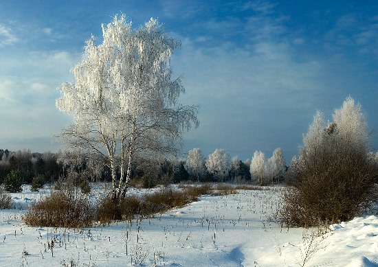 Последняя строка февраля