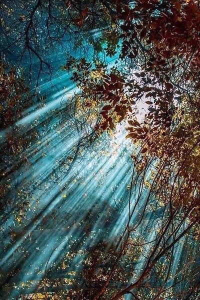 Впустите утро в свою душу!