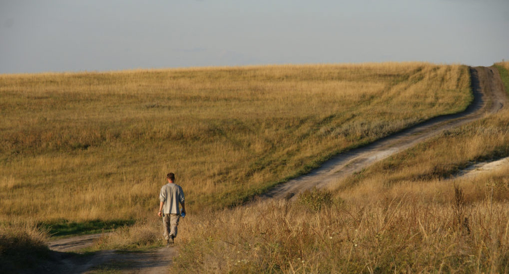 О себе мои знанья...