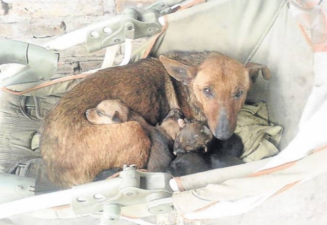 Мир большой