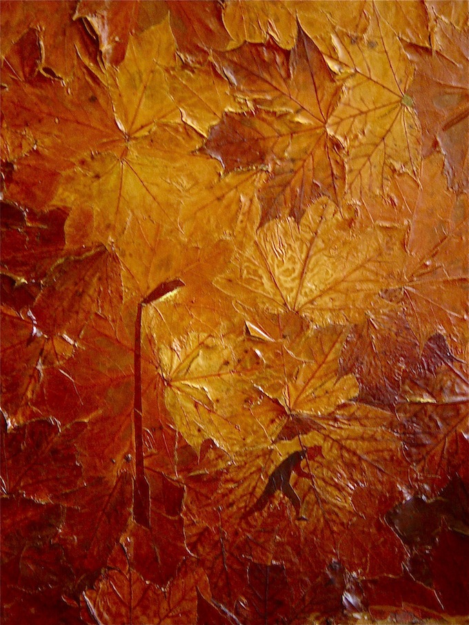 Саша Щерба - Осень