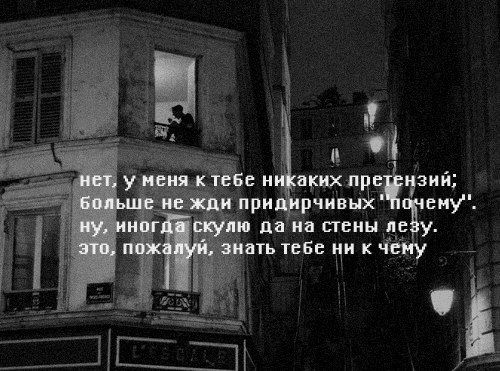роза без шипов