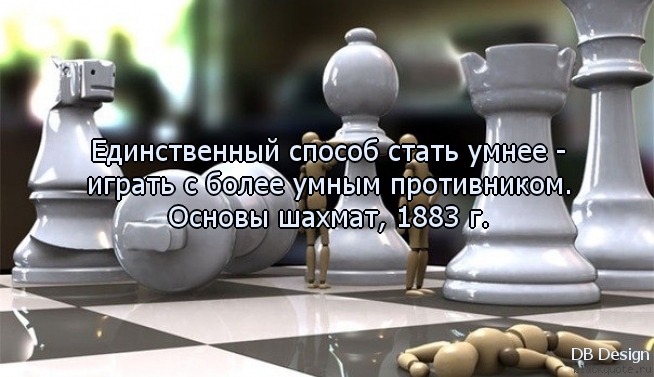 Жизнь на шахматной доске