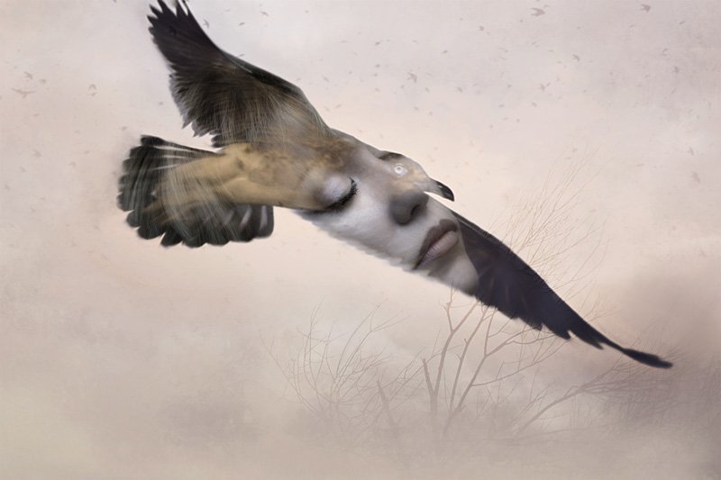 Дочь лётчика