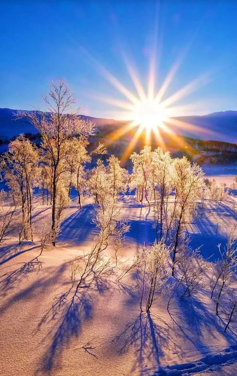 Весенний сон