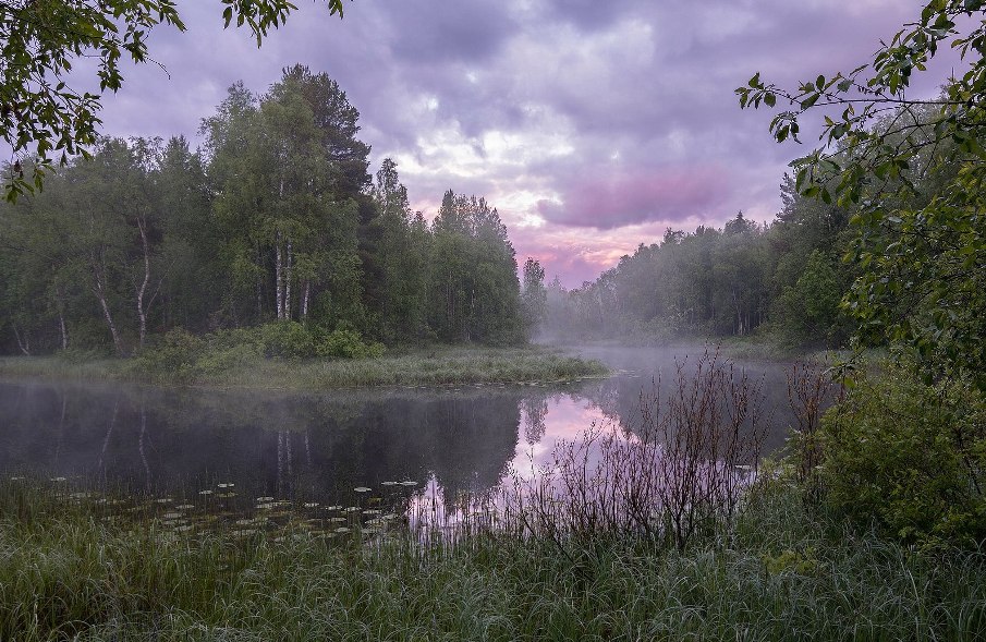 Туман лиловый над рекою