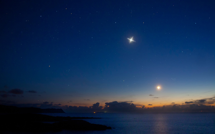 Звезда по имени Виола - письмо мечтателя