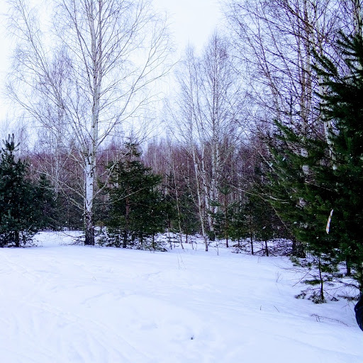 Март - хмельное зелье