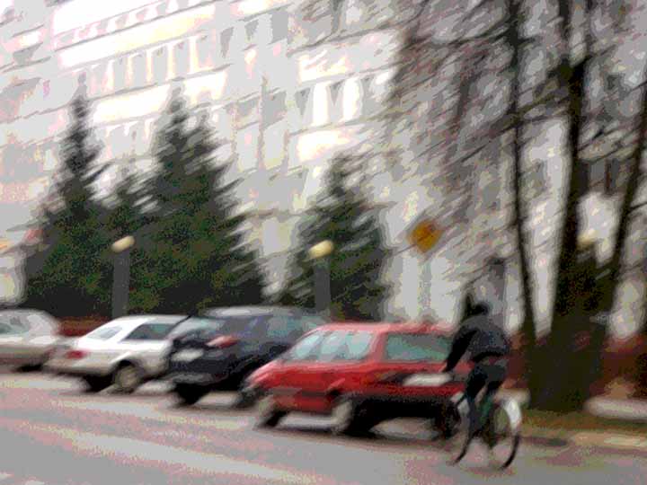 МарКизе дэ Сад винограт