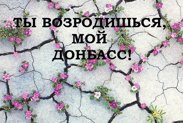 Ты возродишься, Мой Донбасс!