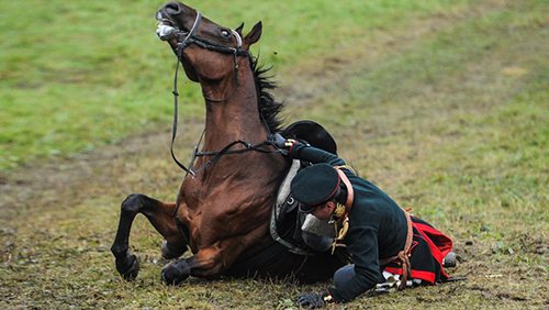 Верный конь