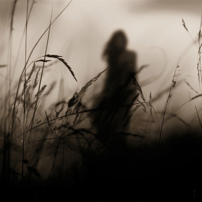 Вся жизнь...