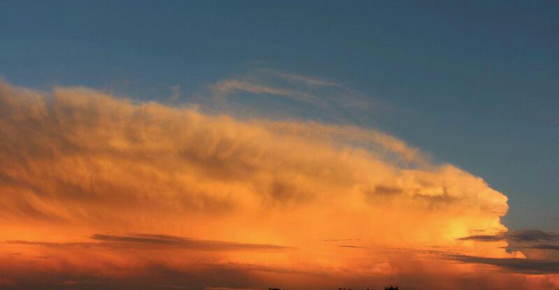 Всё путается жизнь моя со снами