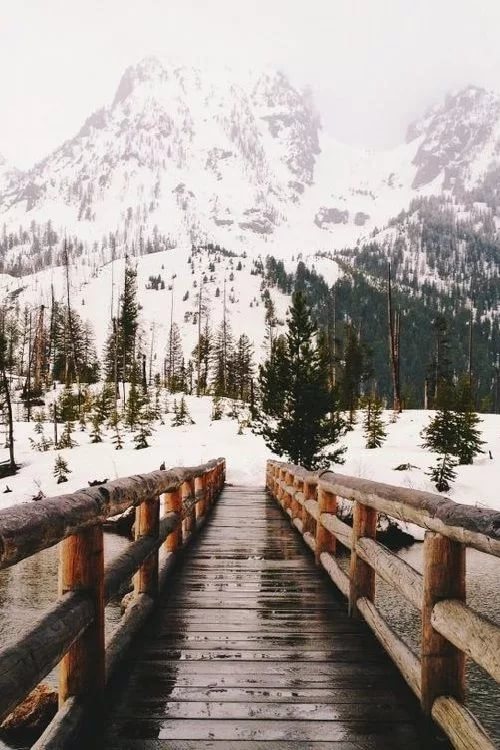 Ладонь Бога