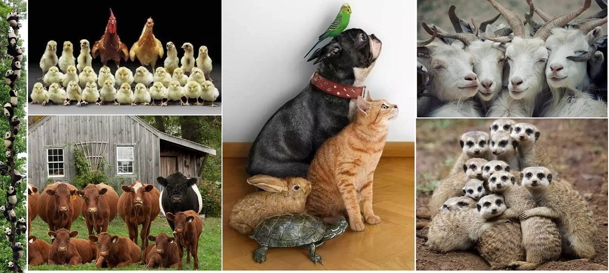 Конкурс - Один в поле не воин!