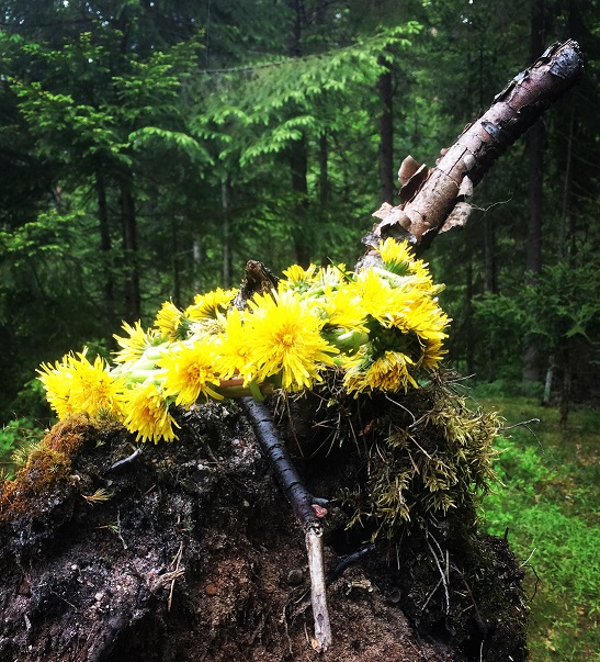 След (Анна Колунова) / Стихи.ру