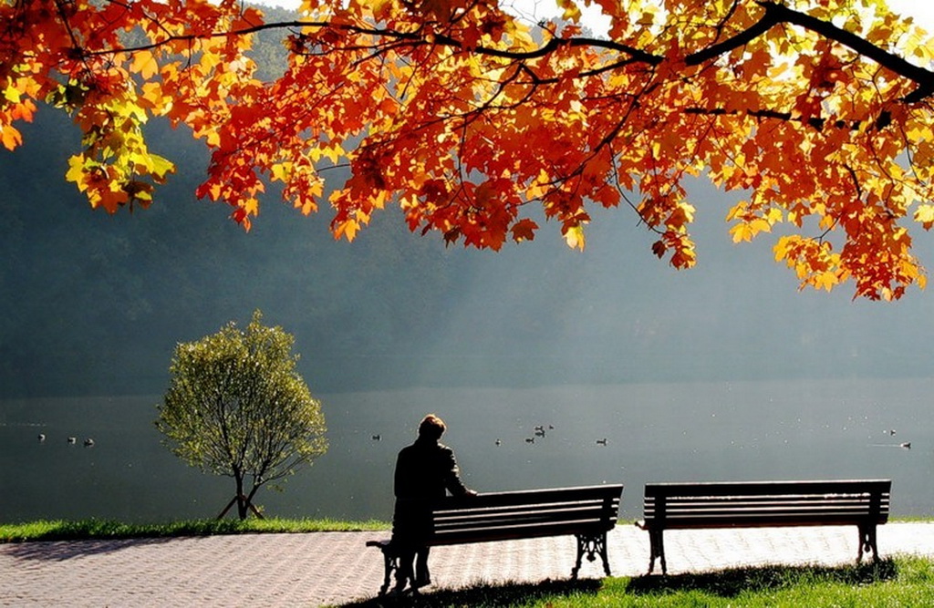 Осень Любви