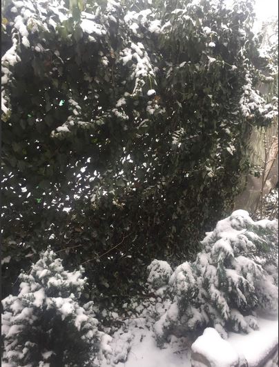 Зима в Краснодаре