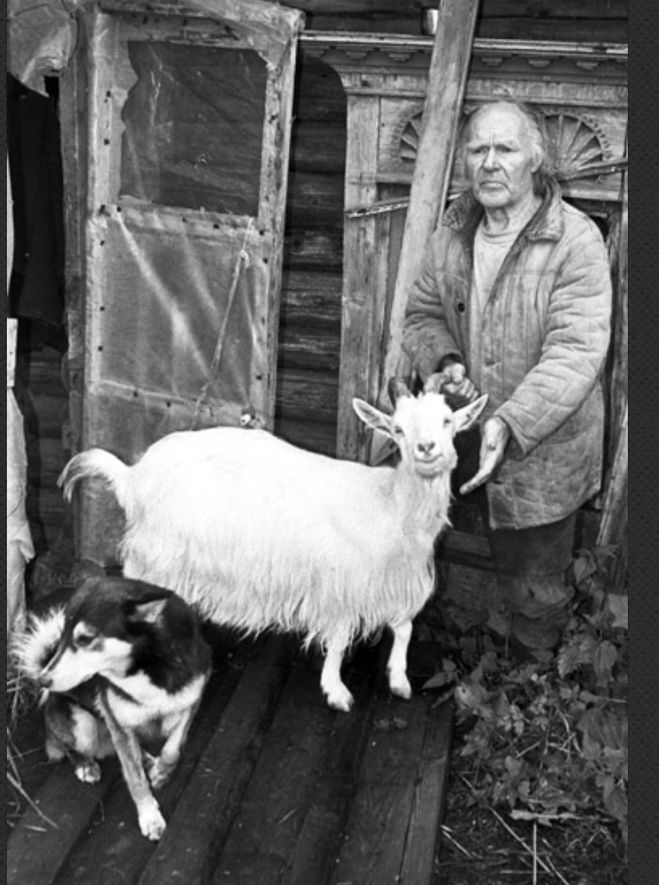 Станешь бобылём