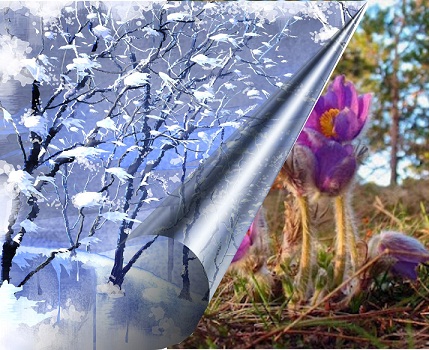 Маэстро, напишите...