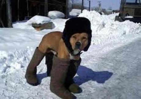 мол, симпатяга...