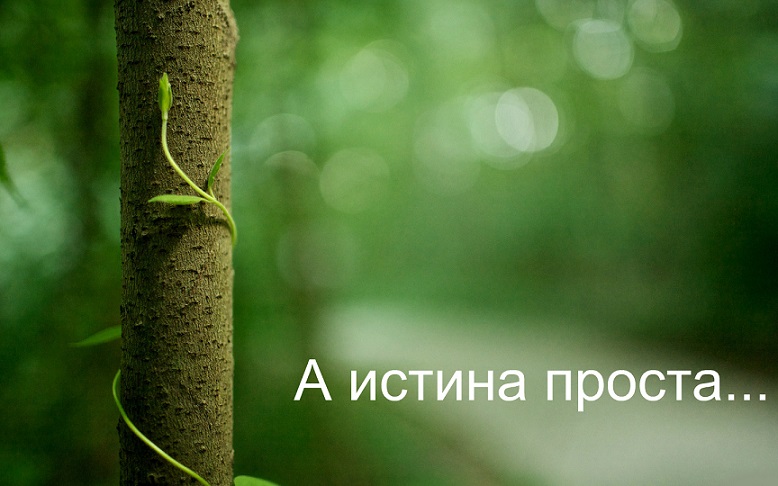 А истина проста...