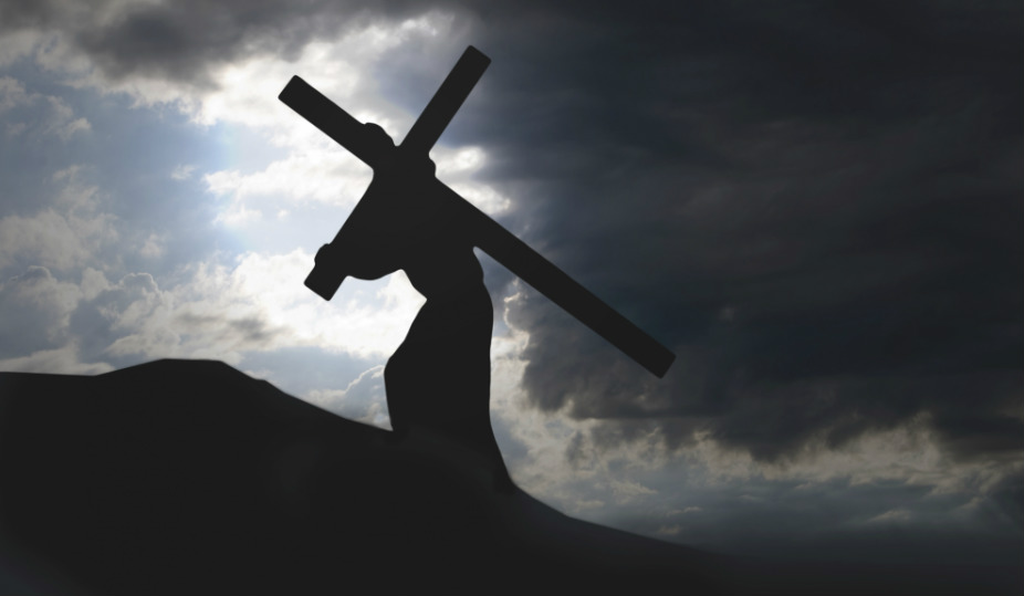 Я живу как собака как собака помру