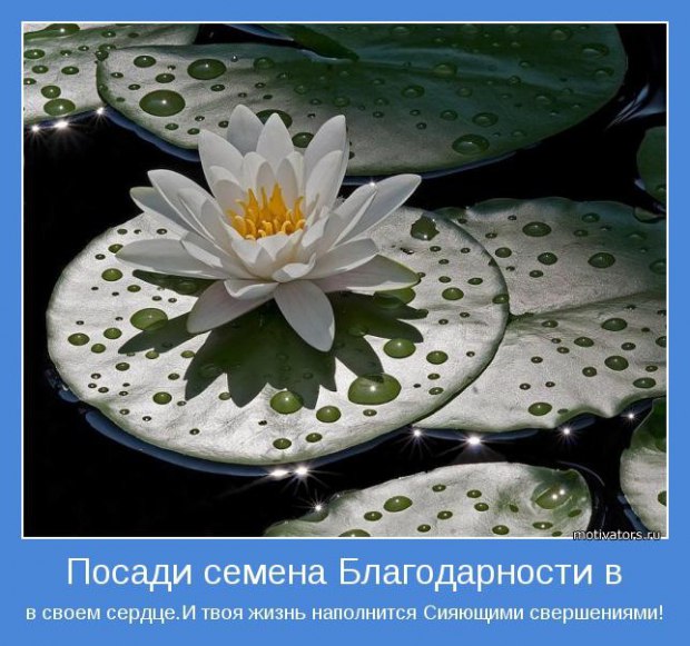 Он лишь достоин Один преклоненья