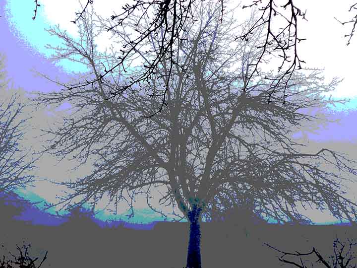 Шо, выпав зуб жалезн?