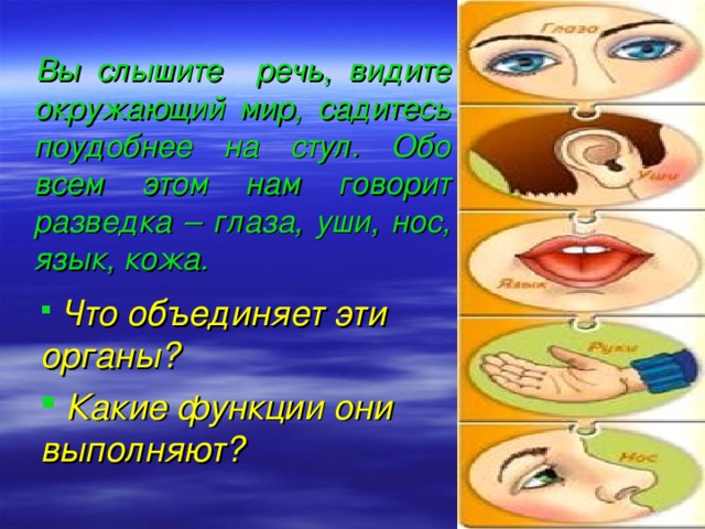 информация с помощью органов чувств. запиши общее название органов указанных на рисунке. гигиена органов чувств для детей. общее название органов нос глаз ухо кожа. части тела человека глаза уши рот.