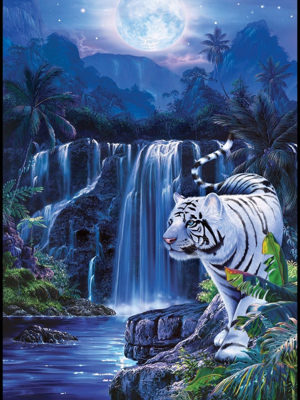 Прекрасен мир