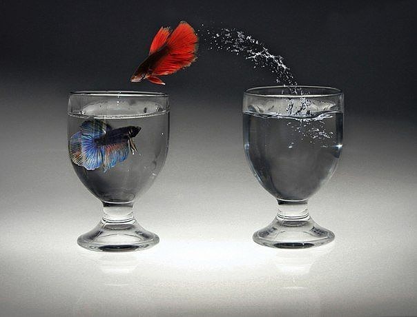 Я буду верить в нас, в тебя