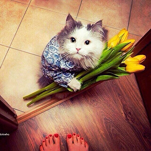 Круглая Земля