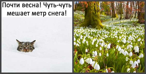 Весна Все Равно Придет Картинки